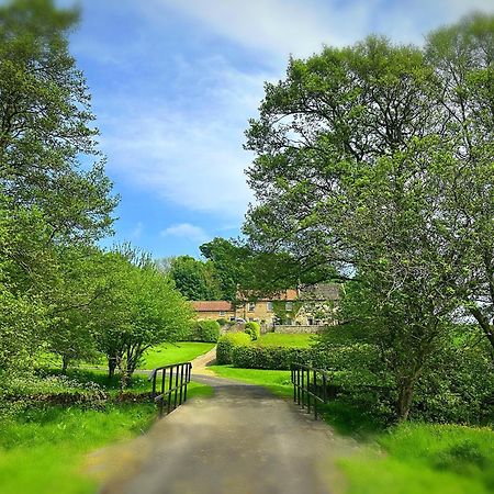 Old Orchard Cottage, Wykeham Scarborough Eksteriør bilde