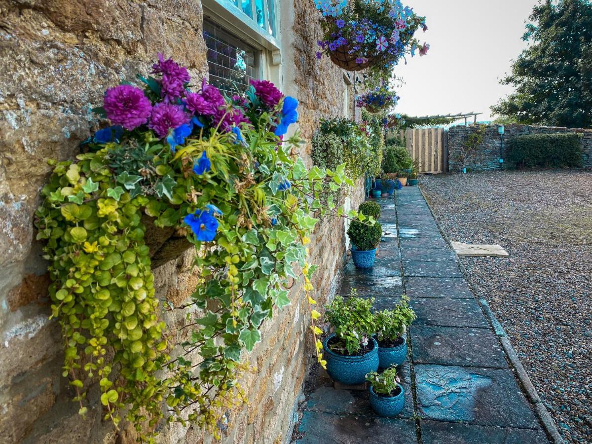 Old Orchard Cottage, Wykeham Scarborough Eksteriør bilde